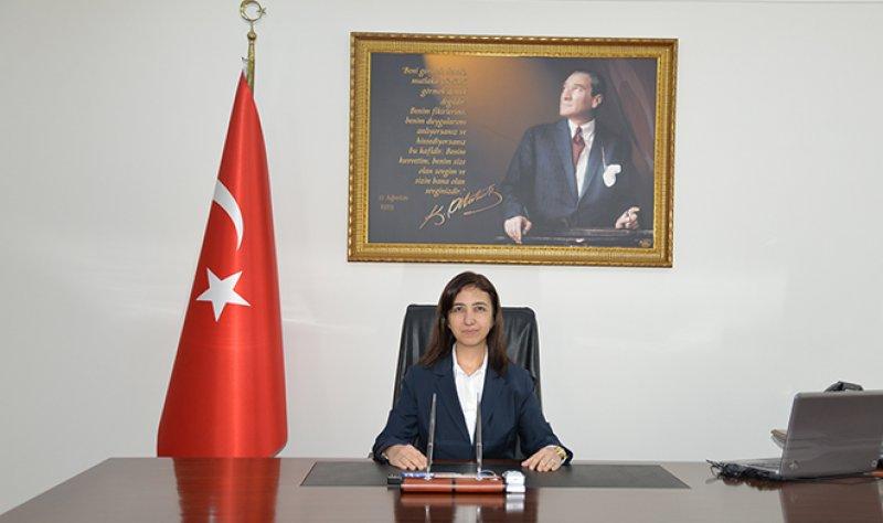 İsim isim illerin valileri