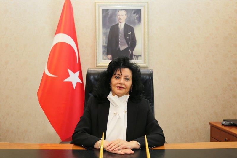 İsim isim illerin valileri