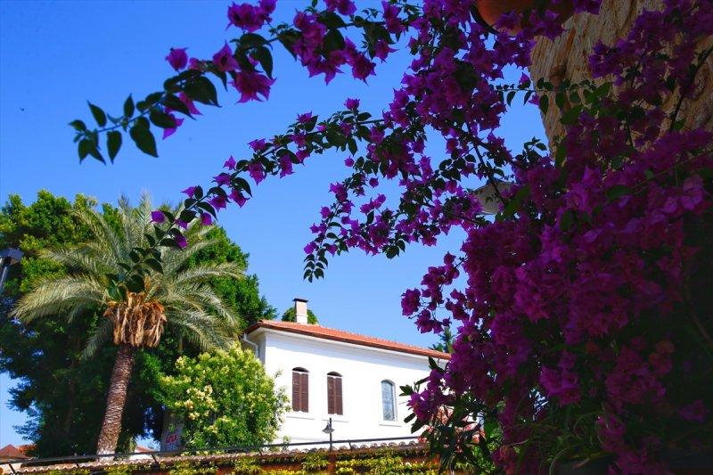 Türkiye'nin çiçek açan şehri: Antalya