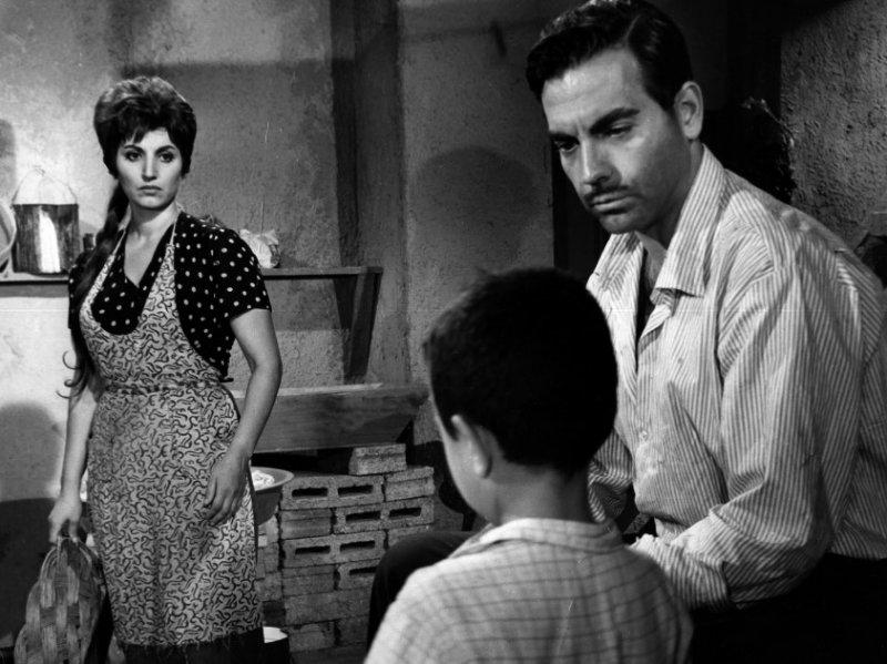 Şoför Nebahat Sezer Sezin hayatını kaybetti