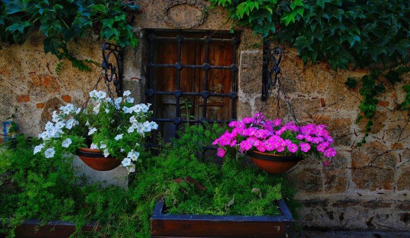 Türkiye'nin çiçek açan şehri: Antalya