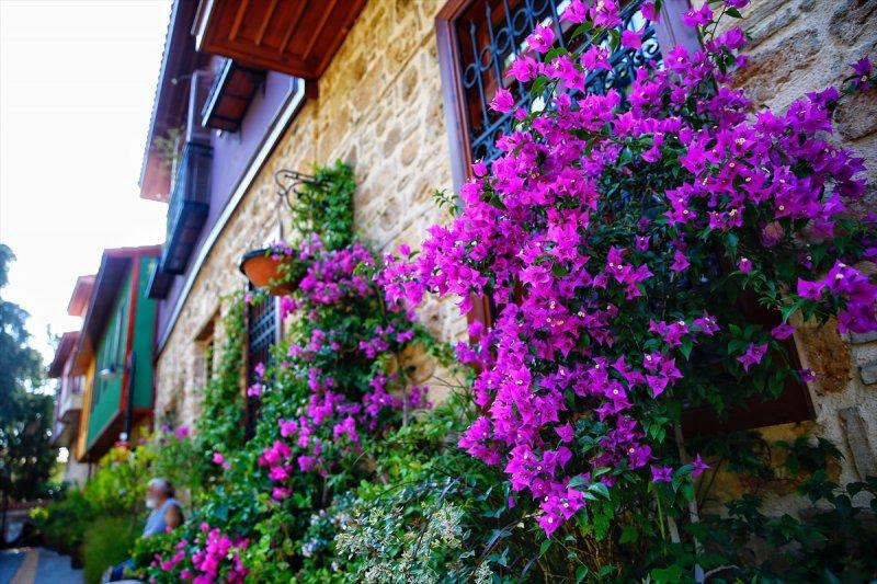 Türkiye'nin çiçek açan şehri: Antalya