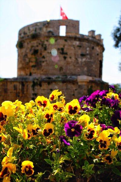 Türkiye'nin çiçek açan şehri: Antalya