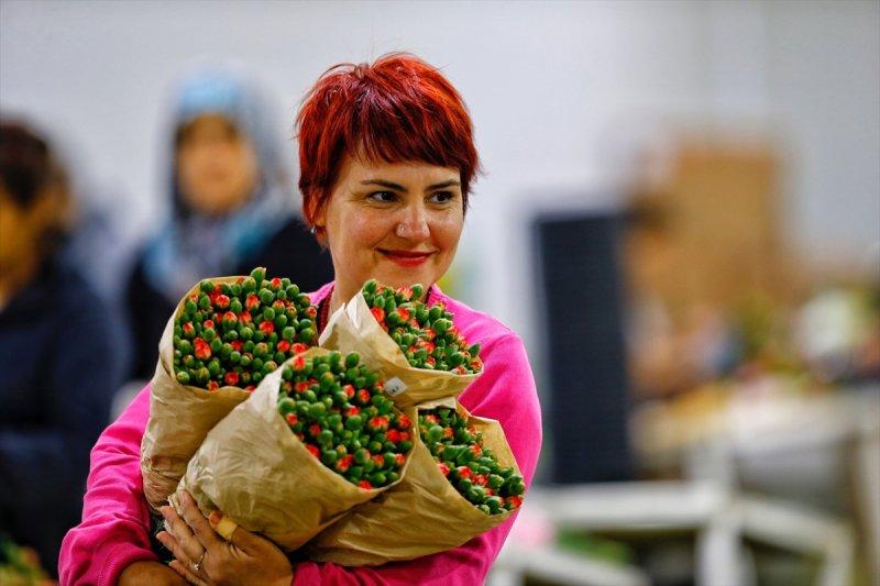Türkiye'nin çiçek açan şehri: Antalya