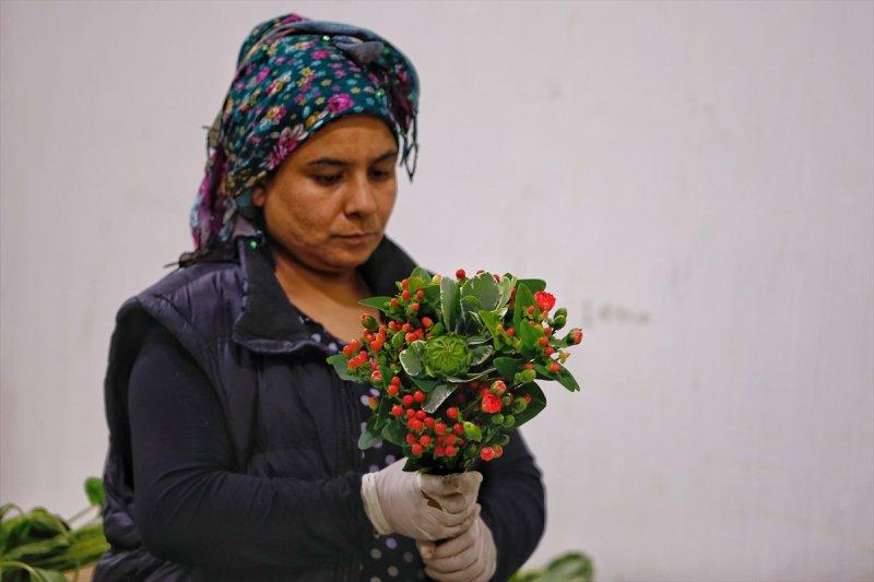 Türkiye'nin çiçek açan şehri: Antalya