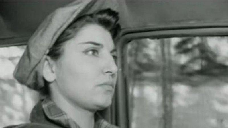 Şoför Nebahat Sezer Sezin hayatını kaybetti