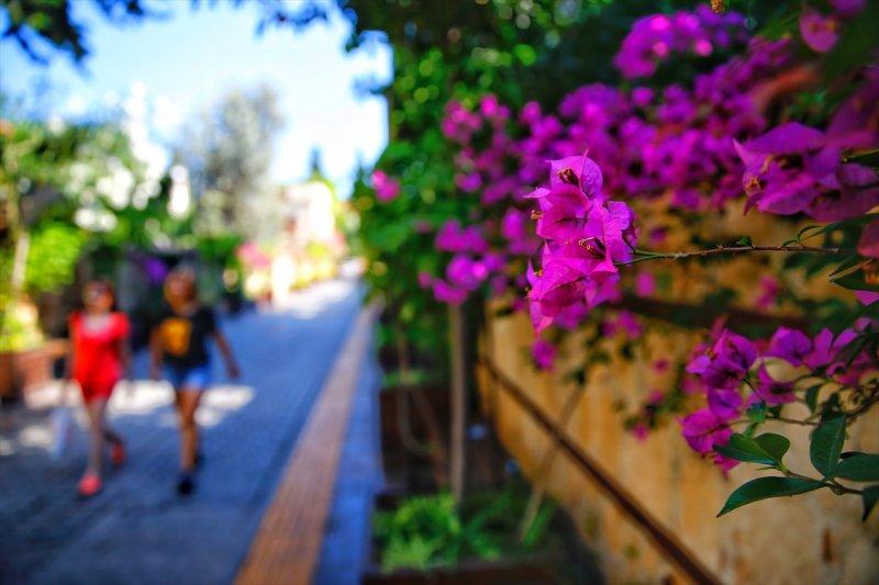 Türkiye'nin çiçek açan şehri: Antalya