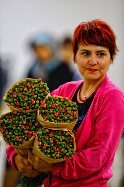 Türkiye'nin çiçek açan şehri: Antalya