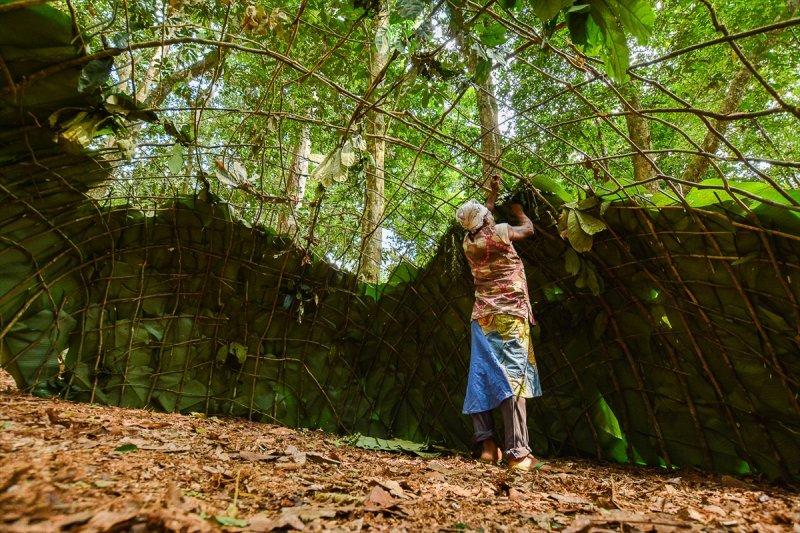 Afrika'nın 5 bin yıllık avcıları: Pigmeler