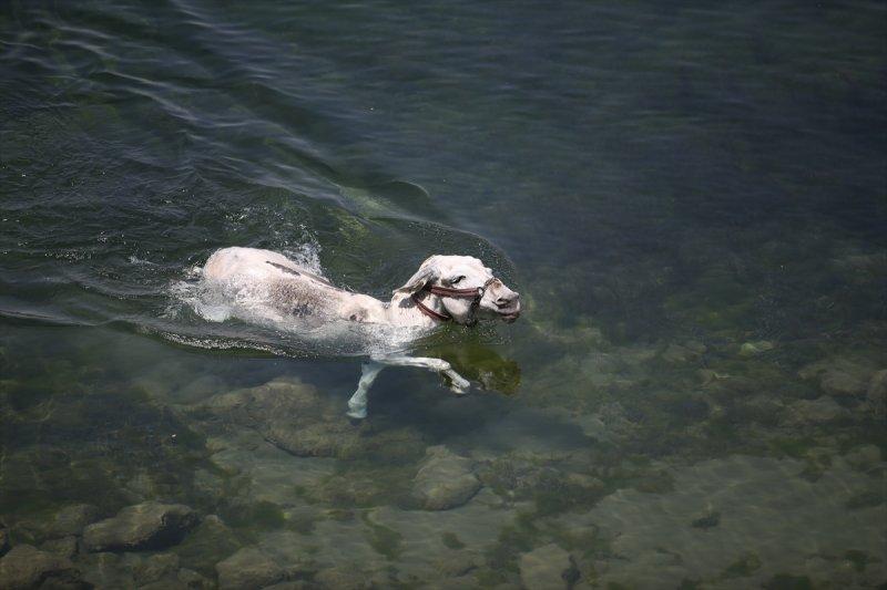 İnbaşı mağaraları ziyaretçilerini bekliyor