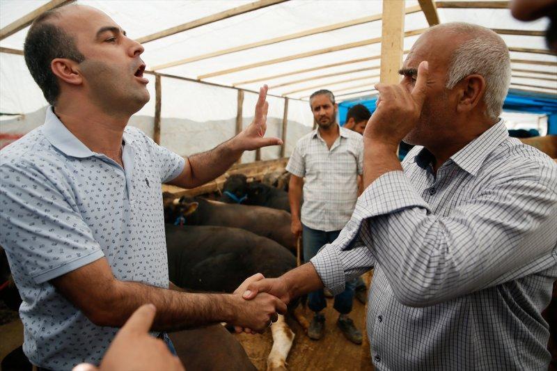 İzmir'de kurbanlıklar satışta