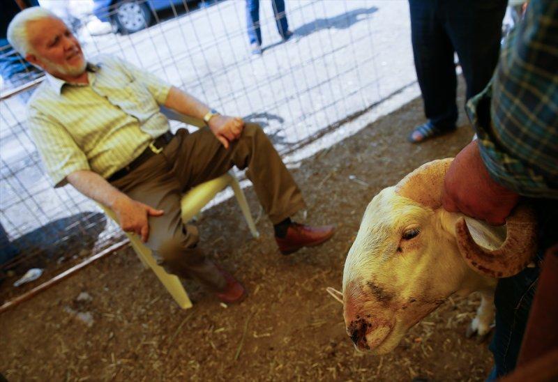 İzmir'de kurbanlıklar satışta