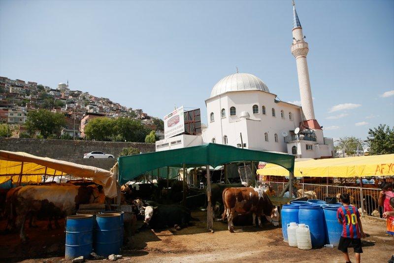 İzmir'de kurbanlıklar satışta