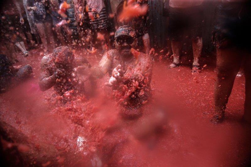 İspanya'da La Tomatina festivali
