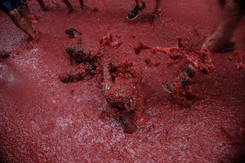 İspanya'da La Tomatina festivali