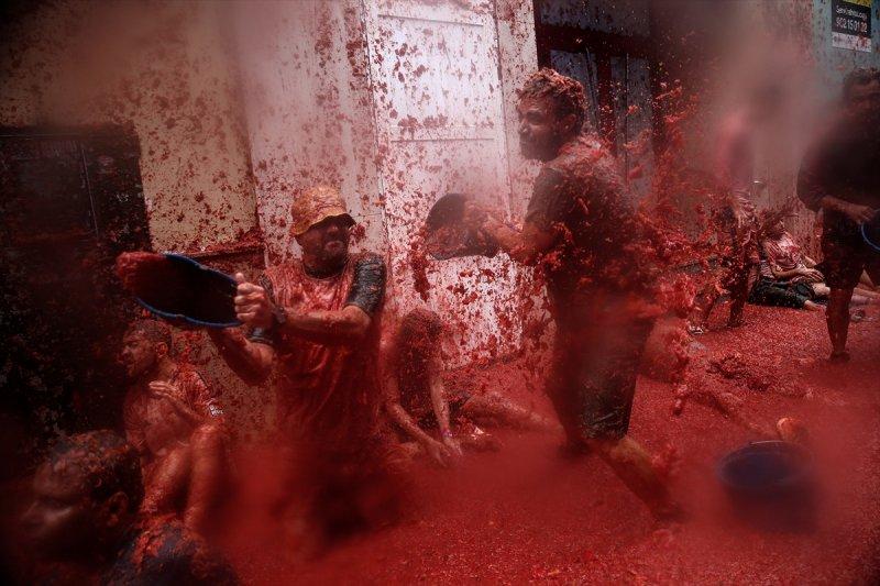 İspanya'da La Tomatina festivali
