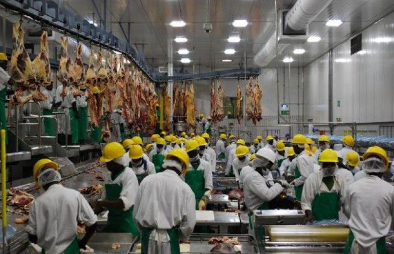 Türkiye'de kişi başına 25 kilo et tüketiliyor