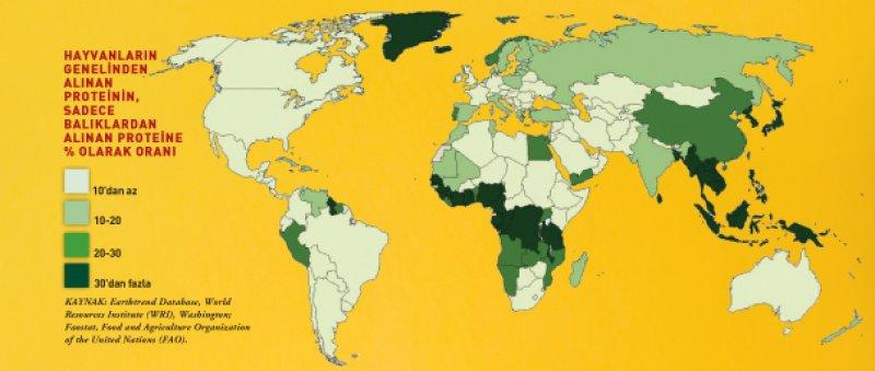 Türkiye'de kişi başına 25 kilo et tüketiliyor