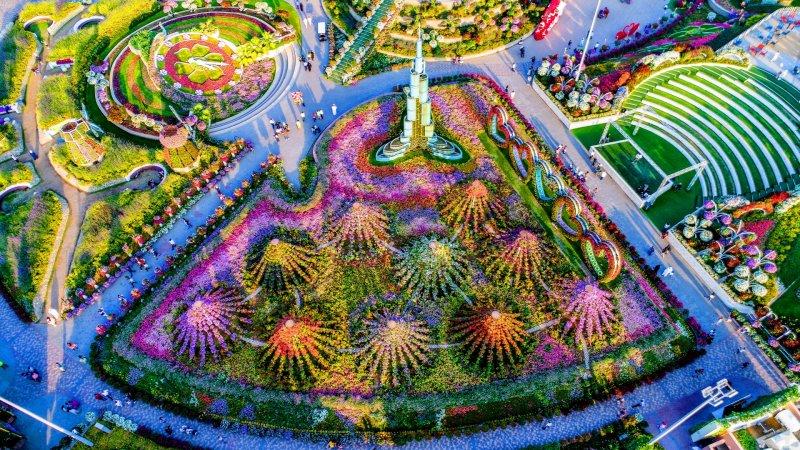 Çölün ortasında çiçek bahçesi: Dubai Miracle Garden