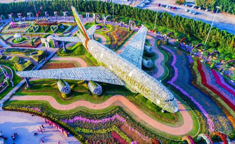 Çölün ortasında çiçek bahçesi: Dubai Miracle Garden
