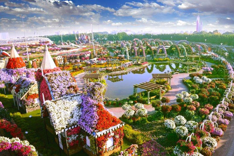 Çölün ortasında çiçek bahçesi: Dubai Miracle Garden