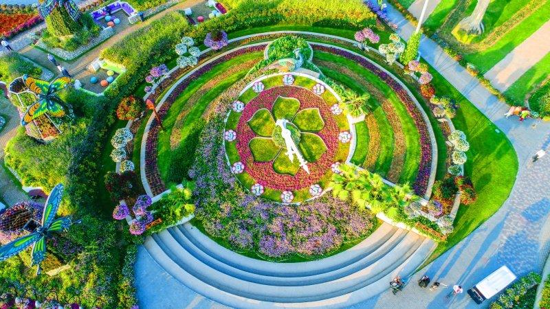 Çölün ortasında çiçek bahçesi: Dubai Miracle Garden