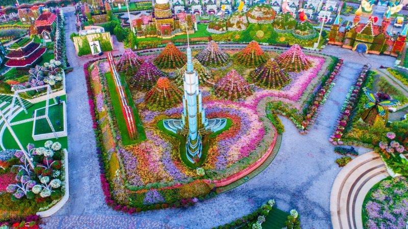 Çölün ortasında çiçek bahçesi: Dubai Miracle Garden