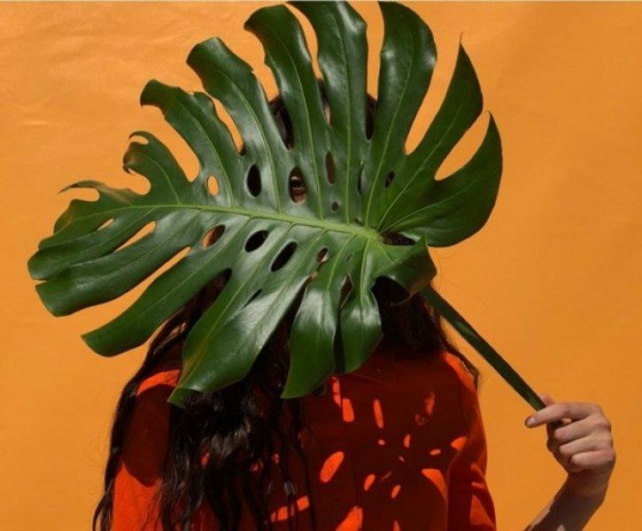 iPhone X ve iPhone 8 ile çekilen fotoğraflar