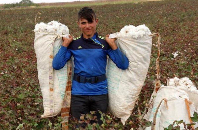 Tarım işçisi öğrenciler