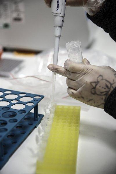 Adana Şehir Hastanesi'nde Genetik Tanı Merkezi