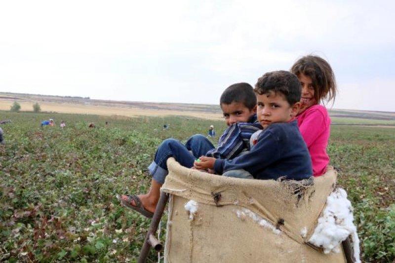 Tarım işçisi öğrenciler