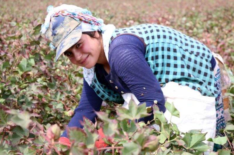 Tarım işçisi öğrenciler