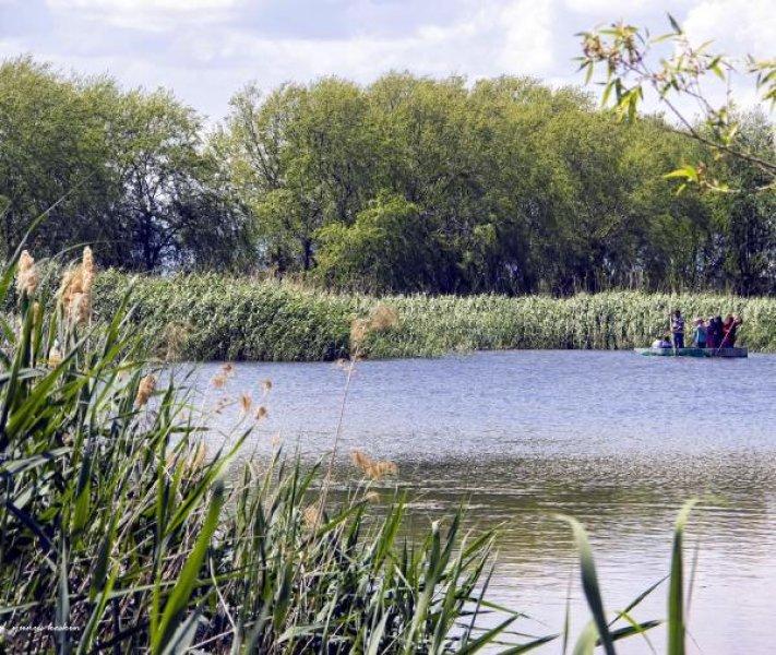 Sultansazlığı Kuş Cenneti'ne 9 milyon metreküp can suyu