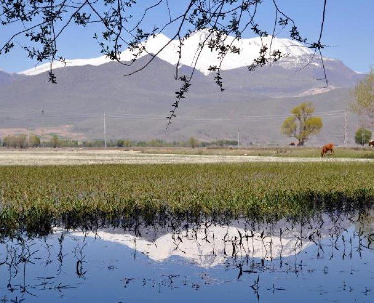 Sultansazlığı Kuş Cenneti'ne 9 milyon metreküp can suyu