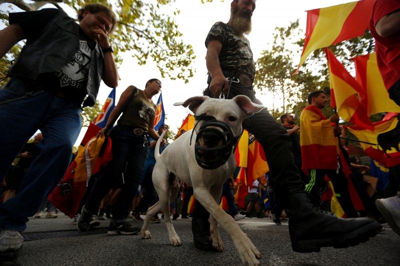 İspanya'da Milli Bayram kutlamaları