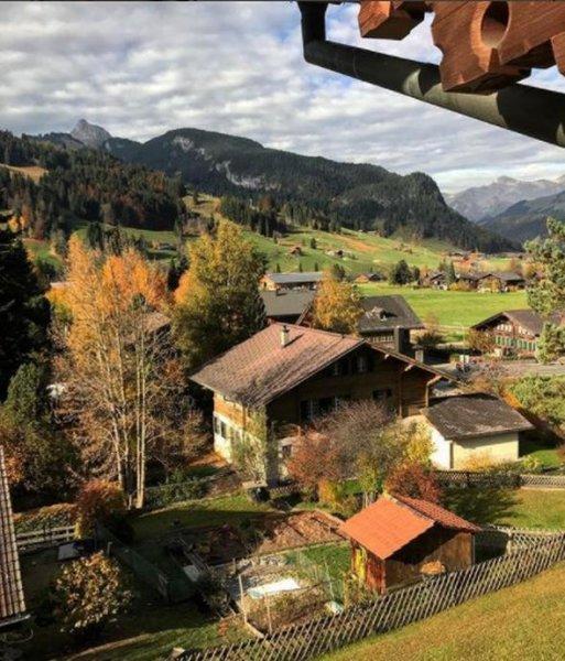 Semiramis Pekkan'ın 4 milyon dolarlık dağ evi