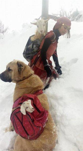 Rizeli kız Hamdu Sena Bilgin Cumhurbaşkanın özel davetlisi oldu