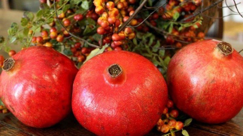  Şirvan İlçesi'nde nar hasadı başladı 