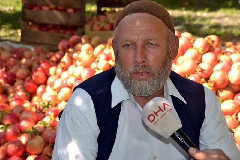  Şirvan İlçesi'nde nar hasadı başladı 