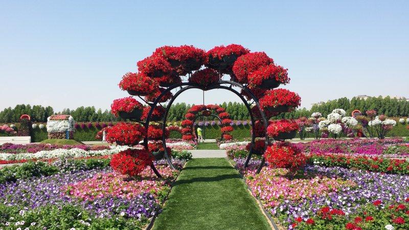 Dünyanın en büyük çiçek bahçesi
