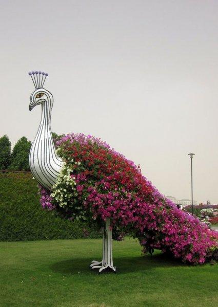 Dünyanın en büyük çiçek bahçesi