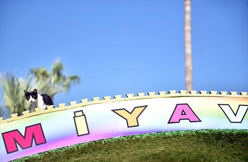 Miyav Park'ın yeni sakinleri