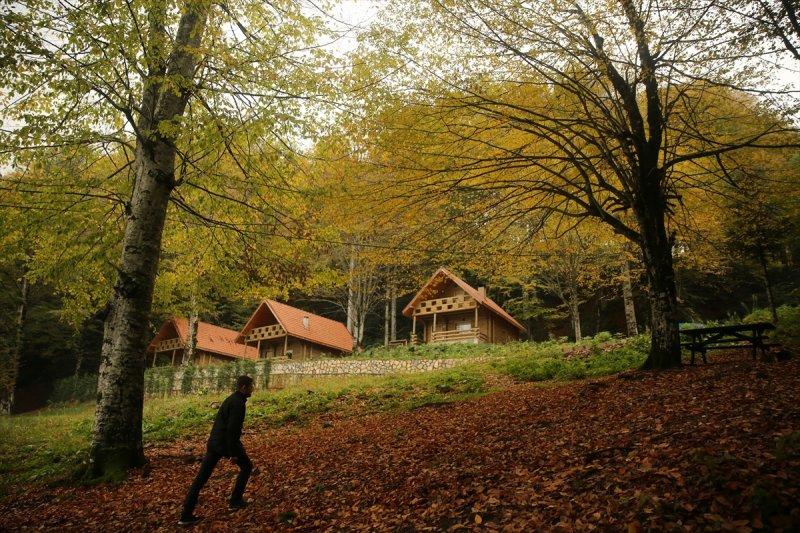 Güzeldere Yaylası'nda sonbahar