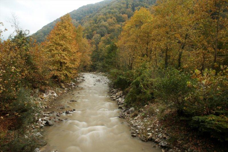 Güzeldere Yaylası'nda sonbahar