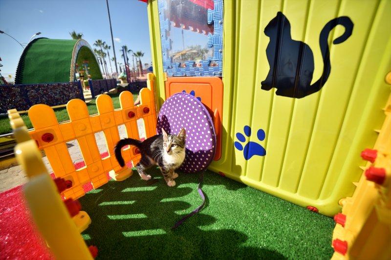 Miyav Park'ın yeni sakinleri