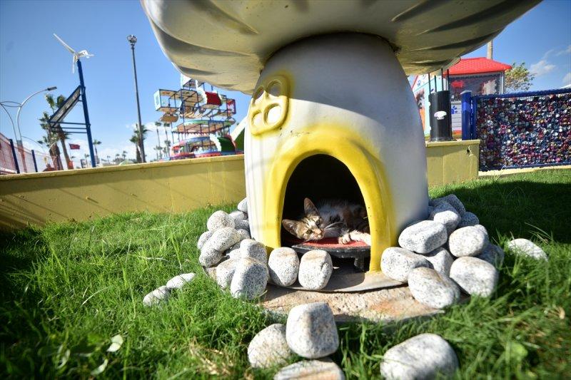 Miyav Park'ın yeni sakinleri