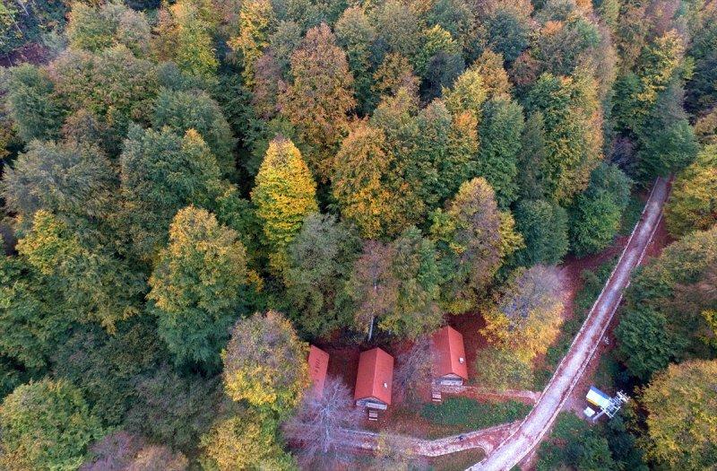 Güzeldere Yaylası'nda sonbahar