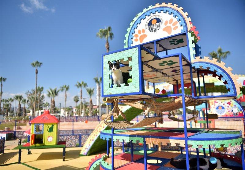 Miyav Park'ın yeni sakinleri