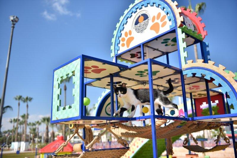 Miyav Park'ın yeni sakinleri