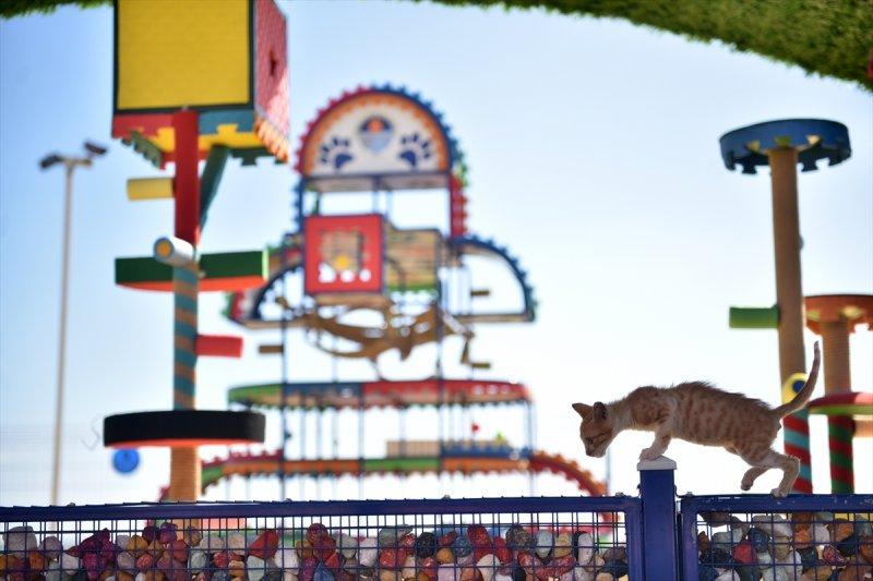 Miyav Park'ın yeni sakinleri